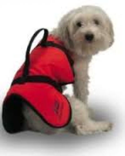 Plastimo dog lifejacket