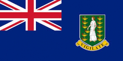 Virgin island flag